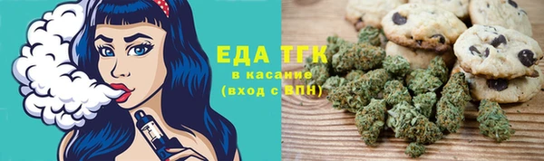 шишки Магас