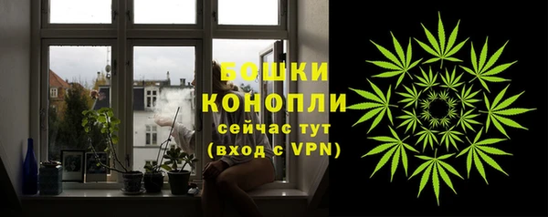 шишки Магас
