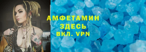 шишки Магас