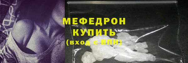 шишки Магас