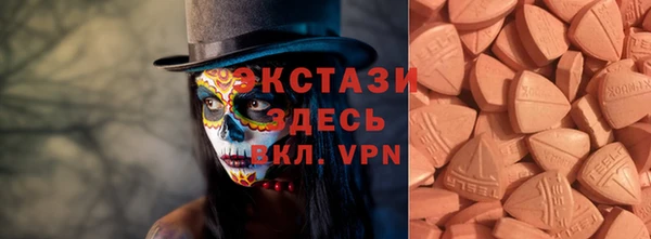 шишки Магас