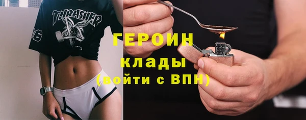 шишки Магас