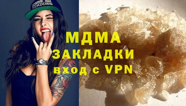 шишки Магас