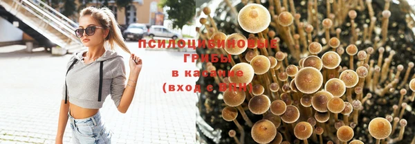 мескалин Майский