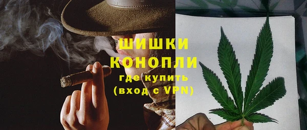 шишки Магас