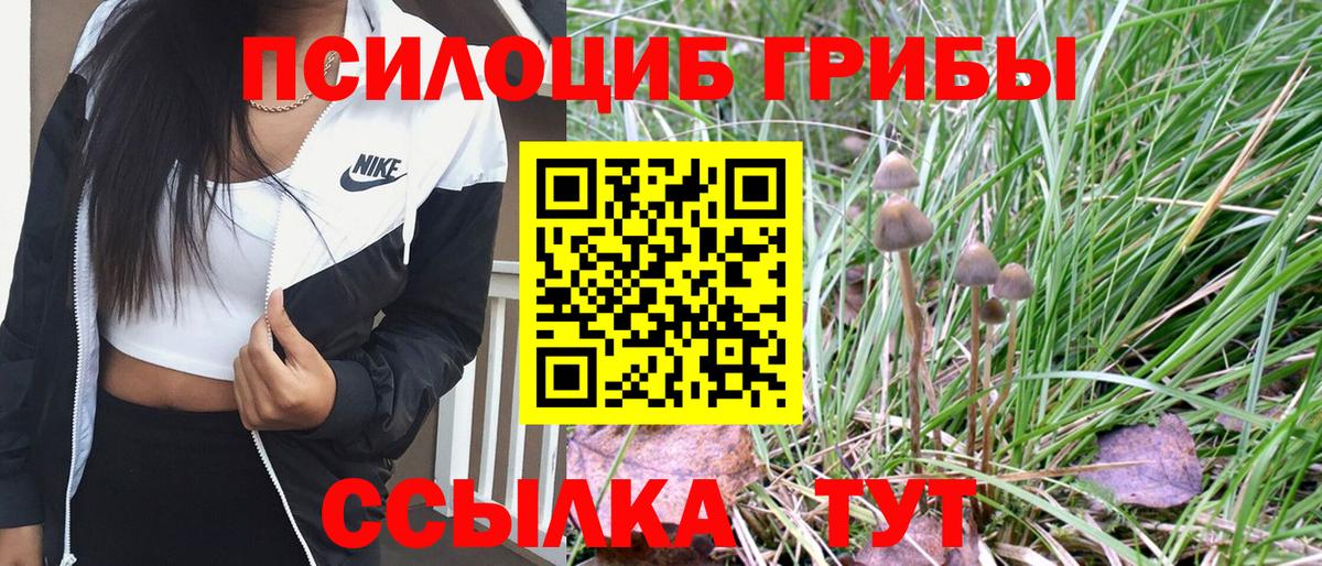Туймазы  Галлюциногенные грибы Psilocybine cubensis  Вход с VPN 