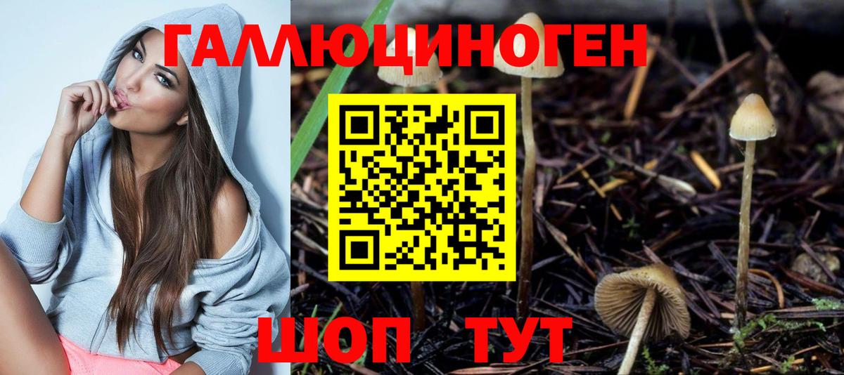 Псилоцибиновые грибы Psilocybine cubensis Туймазы